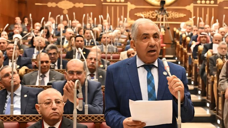 النائب أحمد العوضي