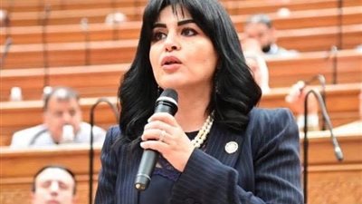 هند رشاد: التوجيهات الرئاسية تعزز الأمن الغذائي وتمنع أي تلاعب بالأسعار