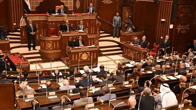  الشيوخ يناقش تعديلات قانون المستشفيات الجامعية ويوافق عليها من حيث المبدأ