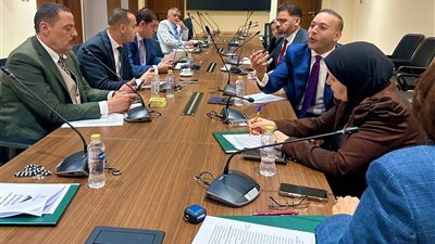 اتصالات النواب : تنسيق مع الأعلى للإعلام لحجب 3 ألعاب إلكترونية مخالفة