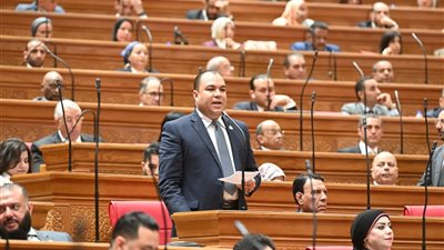  أحمد عصام: نقدر دور وزارة التخطيط ونوافق على منحة بنك التنمية الإفريقي