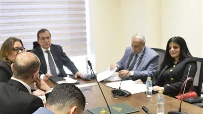 زينب بشير تقترح فى لجنة الطاقة بالنواب تشريع الحياد الكربوني وتسعير الطاقة