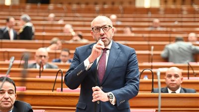 حسام المندوه: الشارع يترقب أداء مجلس النواب.. ونطالب بتوزيع المنح بعدالة