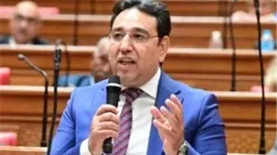  أيمن محسب يطالب الحكومة بتنظيم أوضاع الباعة الجائلين