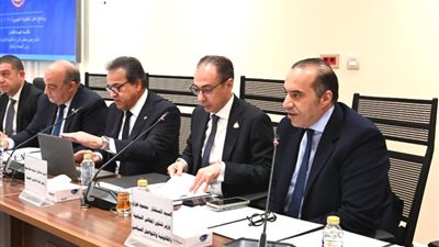 المستشار محمود فوزي: الحكومة والبرلمان يكملان بعضهما لخدمة المواطن