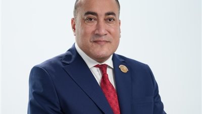 عمرو رشاد: نجاح التعديل الوزاري مرهون بنتائج يشعر بها المواطن