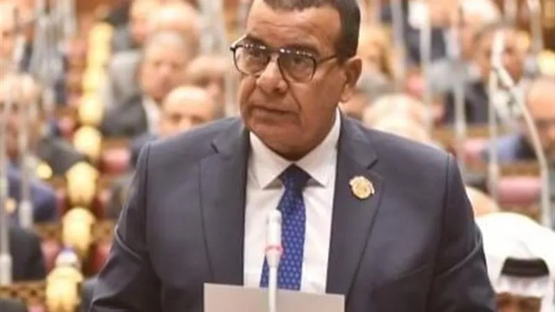 النائب محمود مرجان