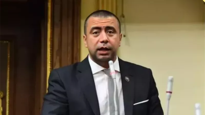 المهندس أحمد بهاء