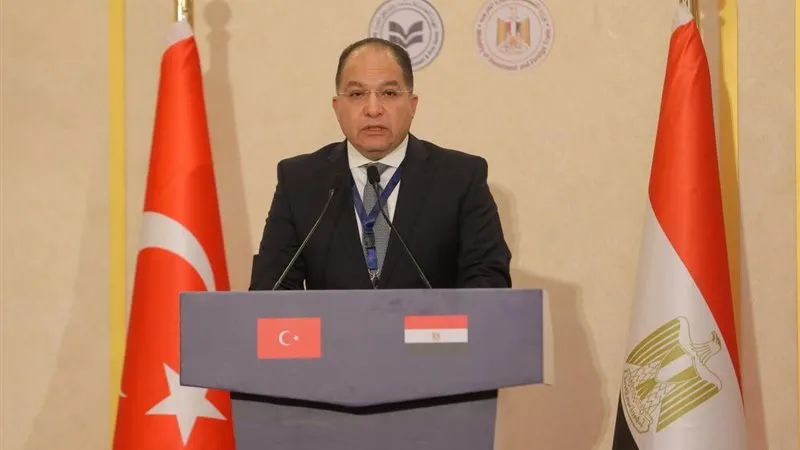 النائب عادل اللمعي