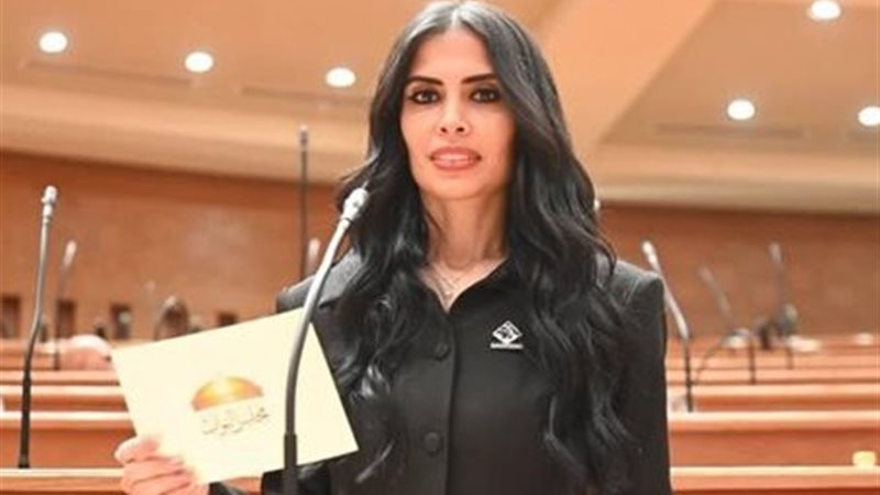 هايدي المغازي