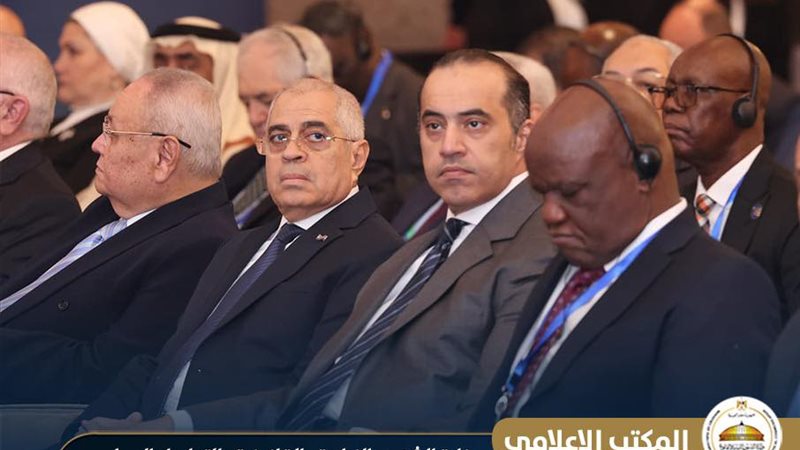 المستشار محمود فوزي