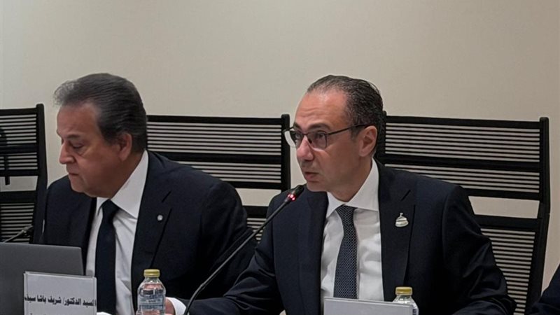 الدكتور شريف باشا