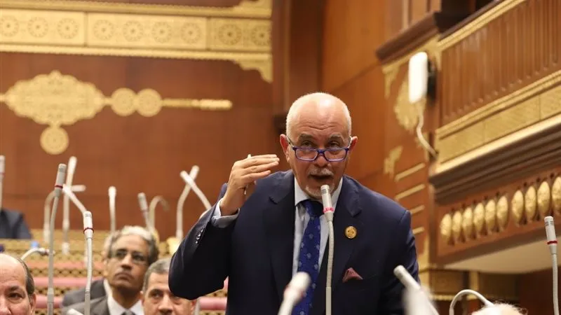 النائب حازم الجندي