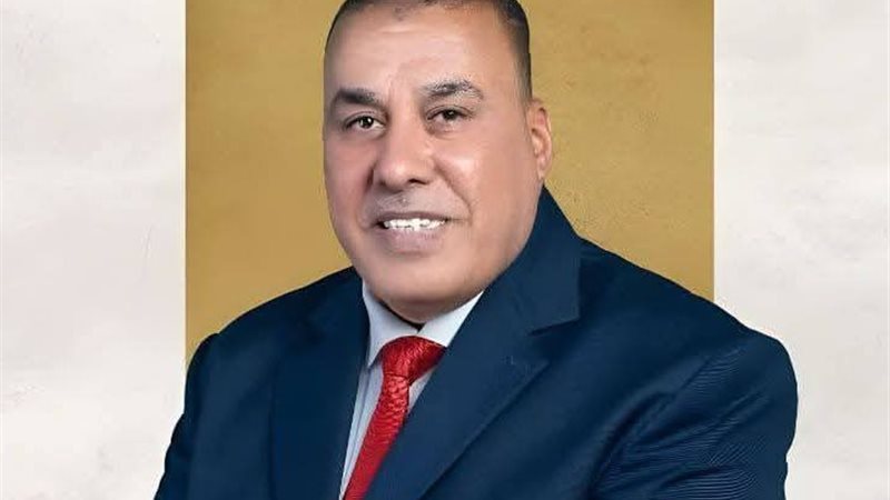 النائب محمد أبو النصر