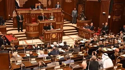 بدء جلسة الشيوخ لمناقشة سياسة الحكومة بشأن الخطة القومية لمكافحة الأورام