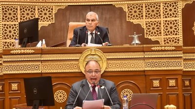 الشيوخ يناقش الخطة القومية لمكافحة الأورام وخضير يحذر:170 ألف إصابة سنويًا