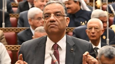 محمود مسلم: