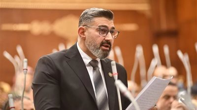 ياسر جلال يعرض مقترح ضوابط النشر والتصوير امام لجنة الثقافة بالشيوخ