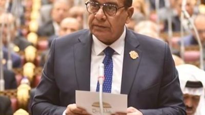 محمود مرجان: حضور مصر في مجلس السلام يعزز مكانتها الدولية