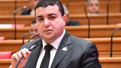 شادي الكومي: تعديلات قانون سجل المستوردين يعالج مشكلات كثيرة كانت قائمة