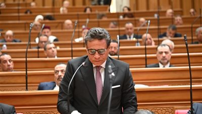 طاهر الخولي يقدم بيان عاجل لمواجهةالفراغ التشريعي في عقوبات