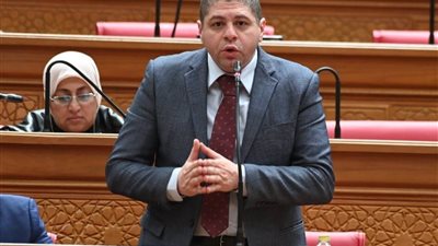 أحمد جبيلي يتقدم بطلب إحاطة لتوحيد السلاسل التجارية وتفعيل البورصة السلعية