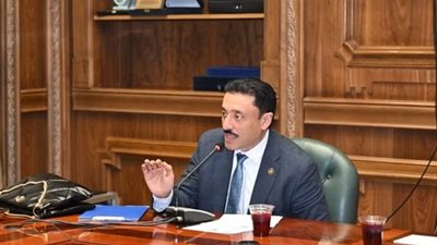 النائب محمد رزق: الشباب والتكنولوجيا طريق مصر إلى اقتصاد أقوى