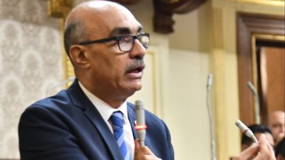 نائب لمسئولى الزراعة : اطالب بوقف رواتبكم 4 سنوات