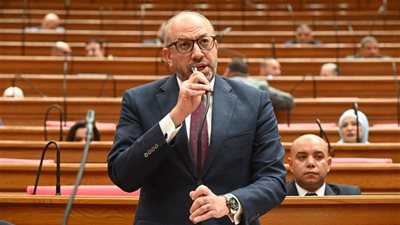 برلماني: لا بديل عن تشكيل حائط صد يمنع العبث بمصداقية المنظومة التعليمية 