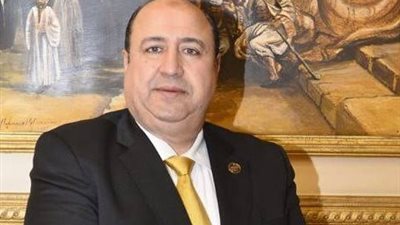 عضو بالشيوخ: زيارة الرئيس للسعودية تأتي في توقيت هام للتنسيق بين البلدين