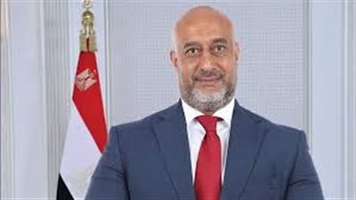 عضو بالشيوخ : زيارة الرئيس السيسي  للسعودية لها دلالات هامة