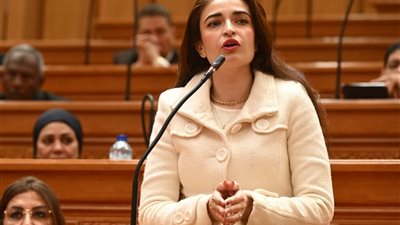 طلب إحاطة بشأن عدم صدوربحث الدخل والإنفاق من الجهازالمركزي للتعبئةوالإحصاء