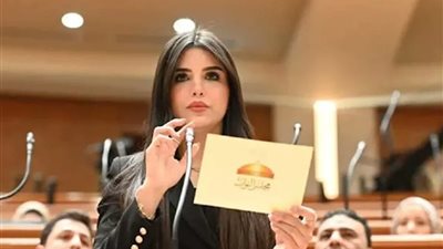 النائبة ريهام أبو الحسن تطالب بتأمين الترع المبطنة لحماية أهالي قنا