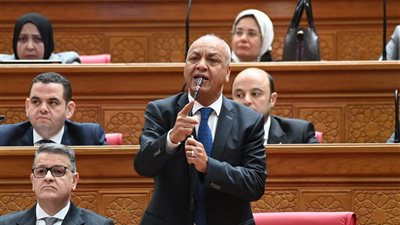  بكري:يجب مراجعة الحد الأدني للاعفاء الضريبي فمبلغ الـ100ألف جنيها لا يكفي