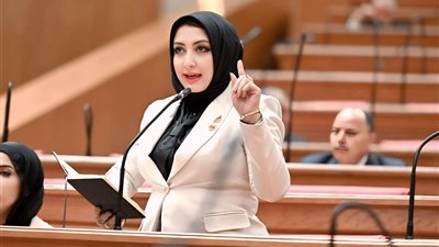 برلمانية: قانون الضريبة علي العقارات المبنية يمس شريحة كبيرة من المواطنين