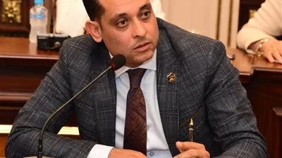 محمد نشأت: توجيهات الرئيس السيسي ضمنت استقرارنا الغذائي والاقتصادي 