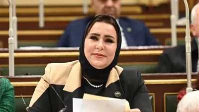  نيفين الكاتب: توجيهات الرئيس السيسي بضبط الأسواق حرصا على حماية المواطنين