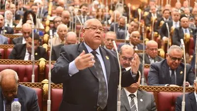 برلماني: الدولة لن تسمح بالتلاعب بالأسواق على حساب المواطن