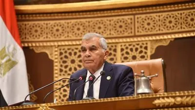 المستشار عصام الدين فريد 