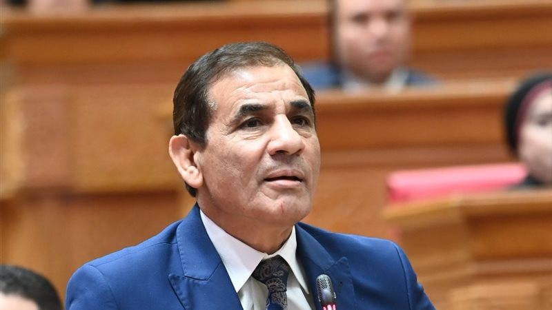 النائب محمد عبد العليم