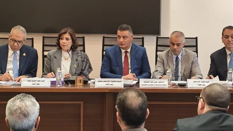  لجنة التضامن الاجتماعي