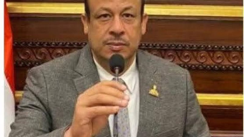  النائب سمير البيومي