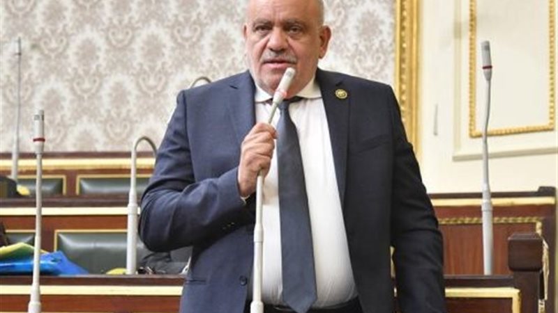  النائب سيد حنفى