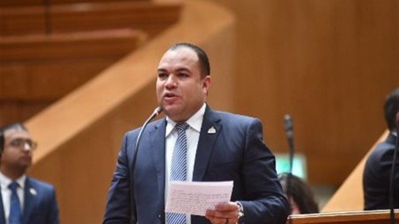 النائب أحمد عصام