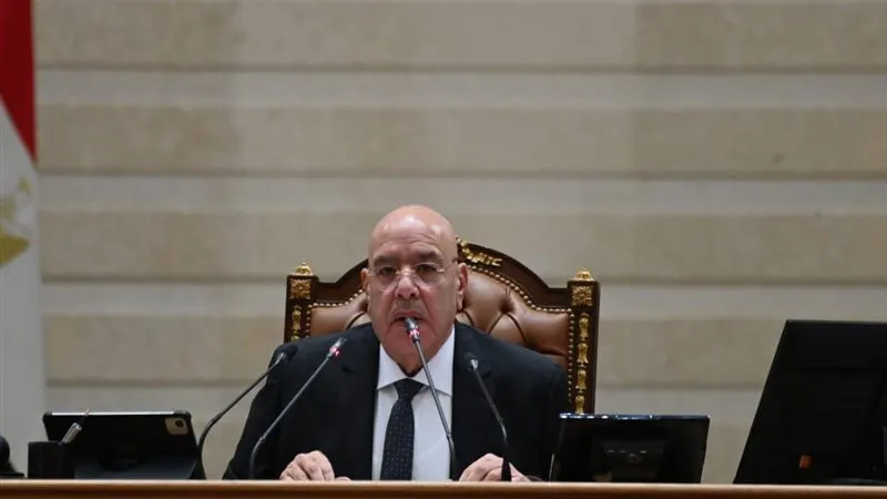 المستشارهشام بدوي