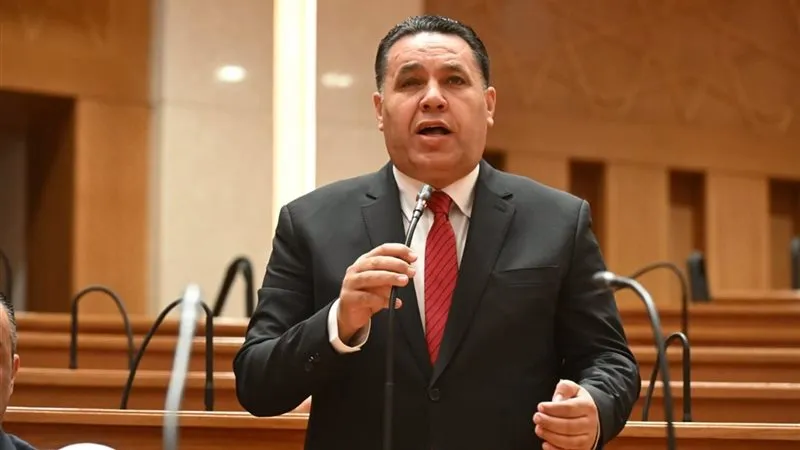 النائب عماد الغنيمي