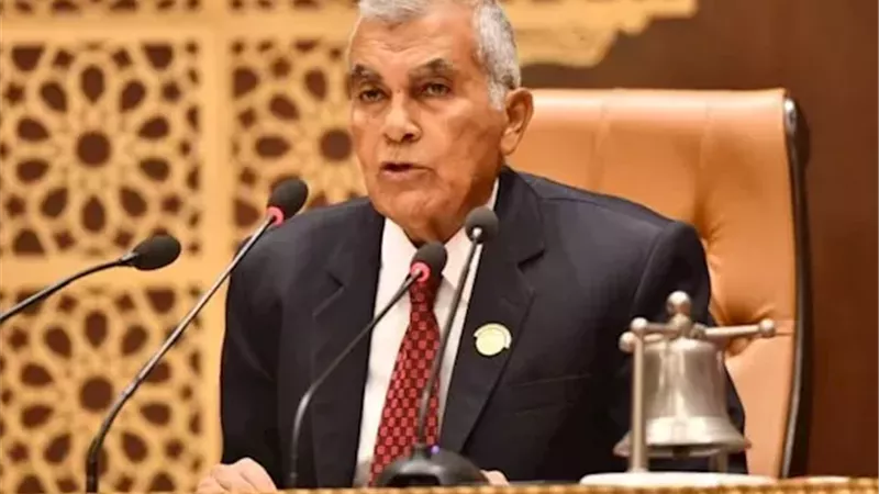 المستشار عصام الدين