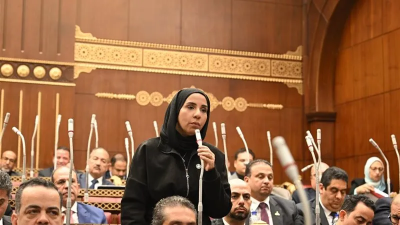 النائبة ولاء هرماس