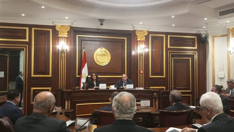 وزيرة الثقافة