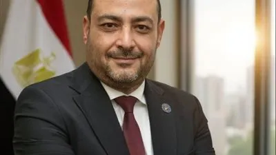 مقترح برلماني لإنشاء هيئة متخصصة لإدارة واستثمار الخامات المصرية